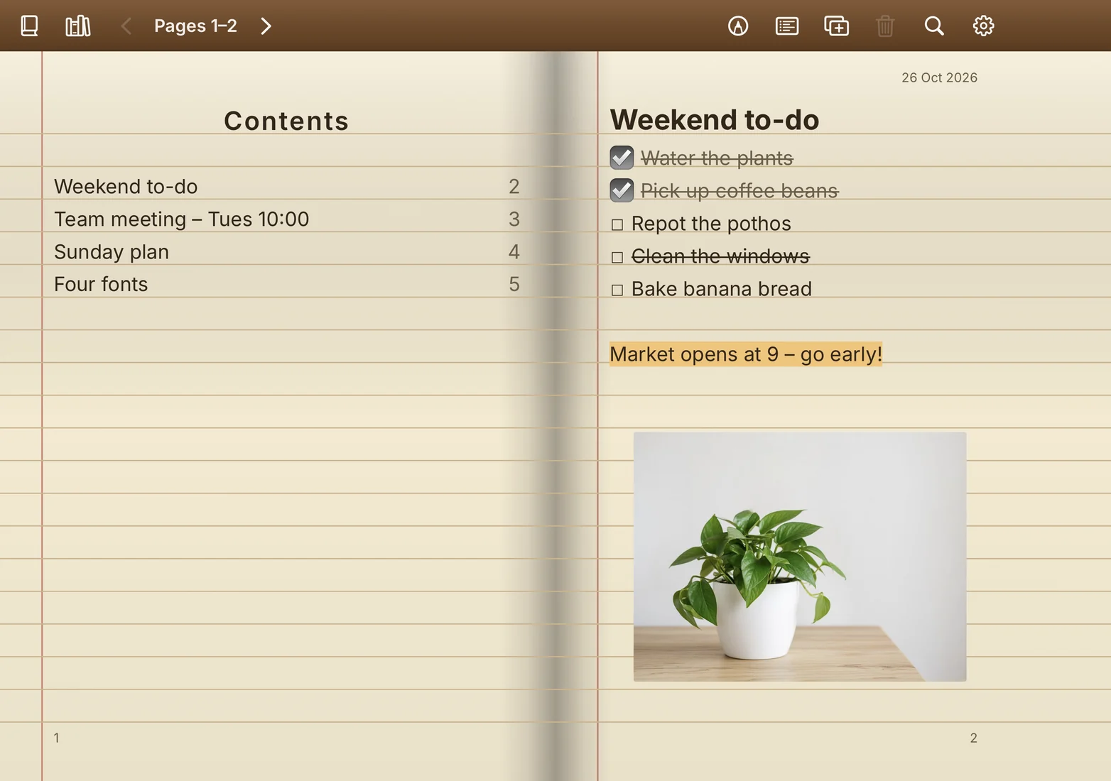 iPhone Duo: a weekend to-do list with ticked and struck-through items, a highlighted reminder and a photo of a plant, next to the contents page