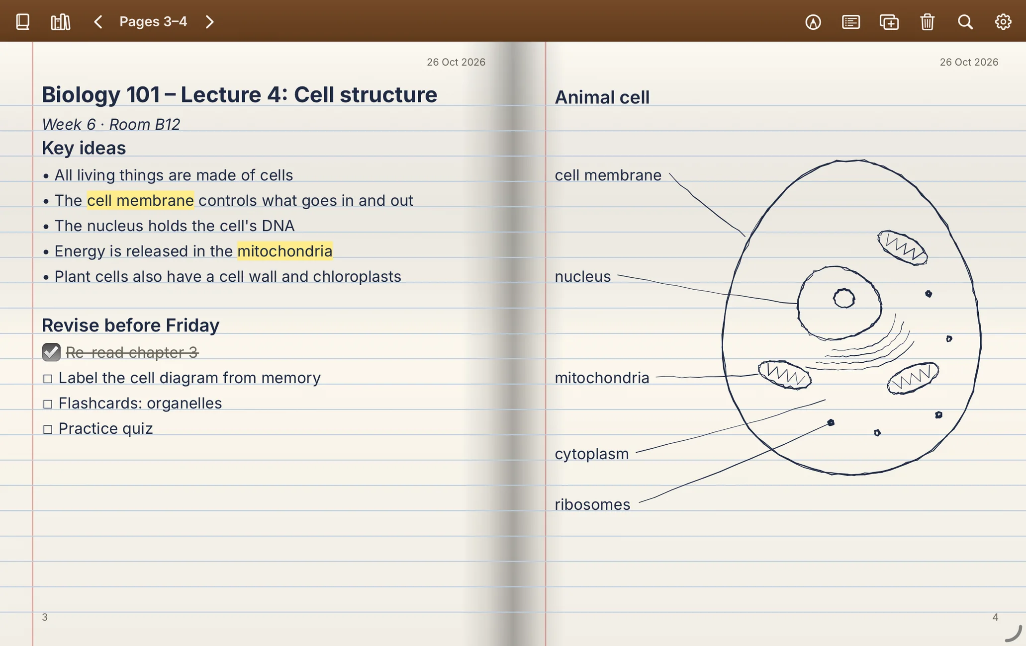 iPad: biology lecture notes with key terms highlighted and a labelled cell diagram